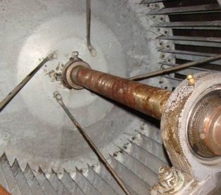 �߉��L(f��ng)�C(j��)��ϴ���������B(y��ng)ע�����(xi��ng)  ����